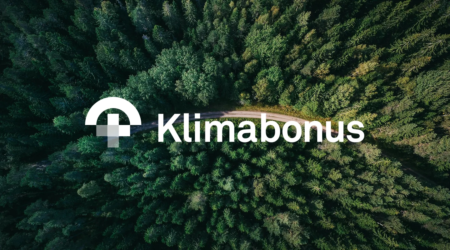Klimabonus forest aerial